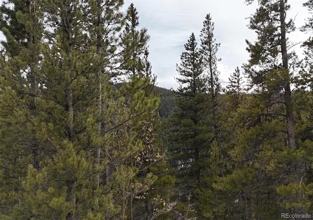 Homes for sale in Idaho Springs, CO | 649 Vista Rd, Idaho Springs, CO 80452 | MLS# 2174722