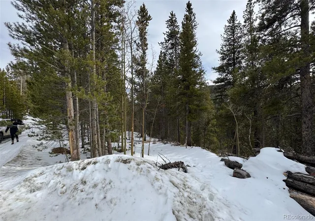 Homes for sale in Idaho Springs, CO | 649 Vista Rd, Idaho Springs, CO 80452 | MLS# 2174722