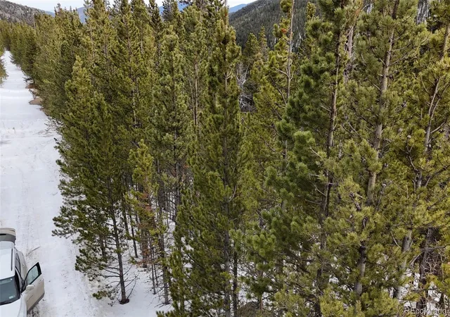 Homes for sale in Idaho Springs, CO | 649 Vista Rd, Idaho Springs, CO 80452 | MLS# 2174722