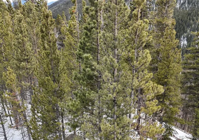 Homes for sale in Idaho Springs, CO | 649 Vista Rd, Idaho Springs, CO 80452 | MLS# 2174722