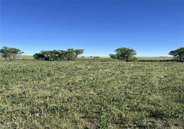Homes for sale in Simla, CO | 27933 Private Road 139, Simla, CO 80835 | MLS# 5748477