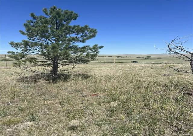Homes for sale in Simla, CO | 27933 Private Road 139, Simla, CO 80835 | MLS# 5748477