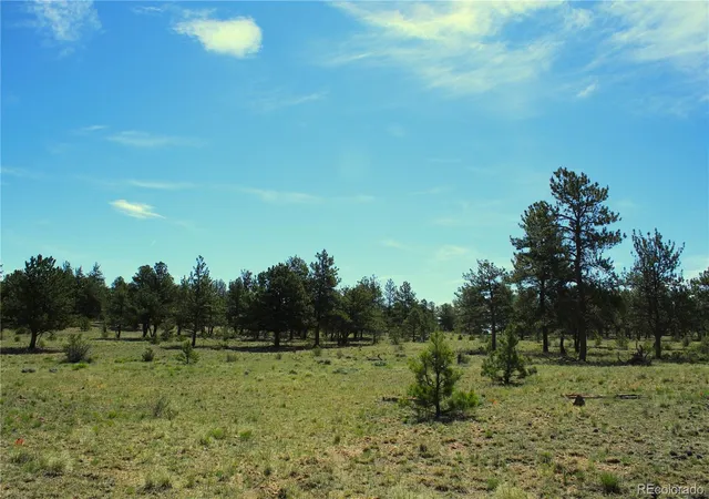 Photo 5 of Land for sale at 31572 Highway 9, Fairplay, CO 80440 | MLS# 5605654 | Listing updated on 2026-06-25