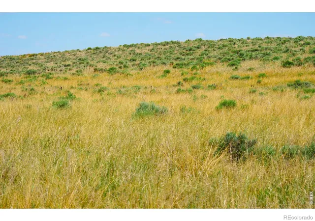 5th image of 40777 County Road 46, Fleming, CO 80728 | MLS# IR1062515
