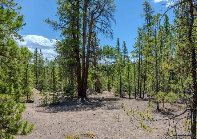 Homes for sale in Twin Lakes, CO | 294 Peak View Dr, Twin Lakes, CO 80461 | MLS# 8199436