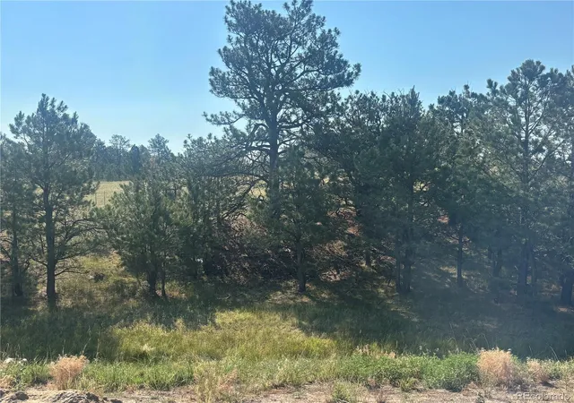 Homes for sale in Kiowa, CO | 32147 Waylongood Pt, Kiowa, CO 80117 | MLS# 6356186