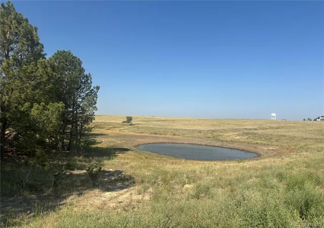 Homes for sale in Kiowa, CO | 32147 Waylongood Pt, Kiowa, CO 80117 | MLS# 6356186
