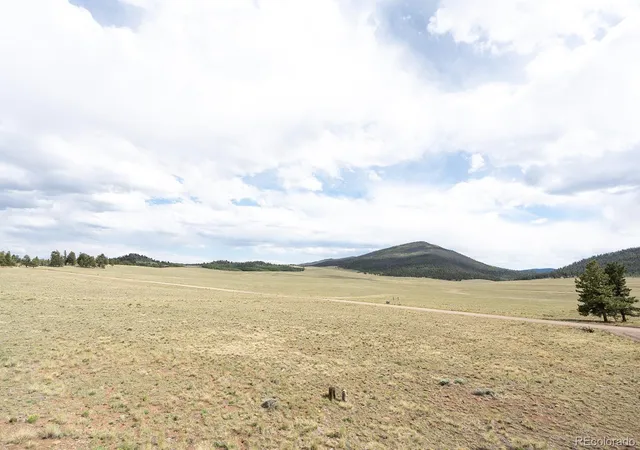 Homes for sale in Buena Vista, CO | 355 Oahu Rd, Buena Vista, CO 81211 | MLS# 2966324