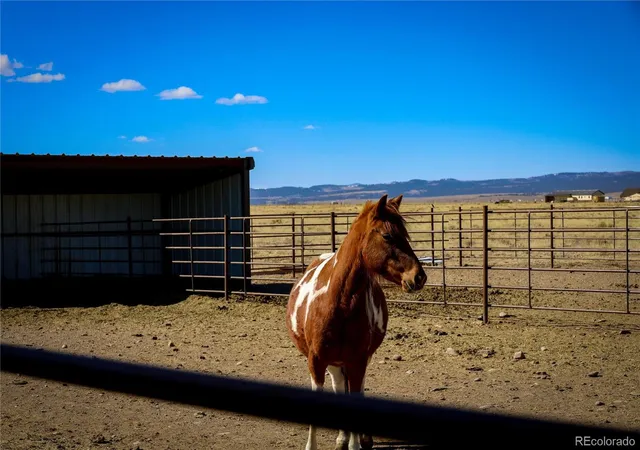 Photo 50 of Single family home for sale at 6729 County Rd Dd5, La Jara, CO 81140 | MLS# 2741619 | Listing updated on 2026-06-23