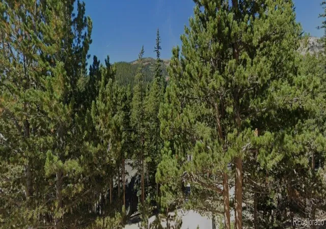 Homes for sale in Idaho Springs, CO | Lake Rd, Idaho Springs, CO 80452 | MLS# 8804042