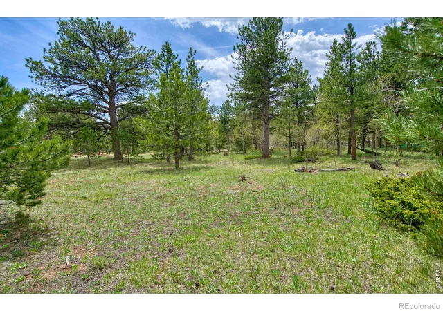 Homes for sale in Ward, CO | 73 Sparn Wy, Ward, CO 80481 | MLS# IR1062571