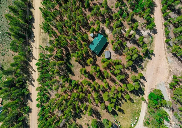 Homes for sale in Fairplay, CO | 324 Ski Doo Rd, Fairplay, CO 80440 | MLS# 6402940