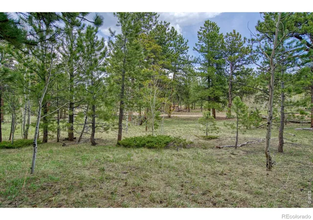 Homes for sale in Jamestown, CO | 0 Sparn Wy, Jamestown, CO 80302 | MLS# IR1062572