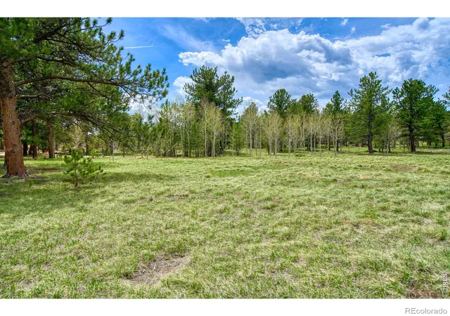 Homes for sale in Jamestown, CO | 0 Sparn Wy, Jamestown, CO 80302 | MLS# IR1062572