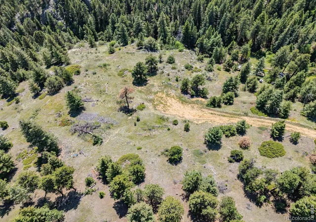 Homes for sale in Nederland, CO | 2692 Magnolia Dr, Nederland, CO 80466 | MLS# IR1062593