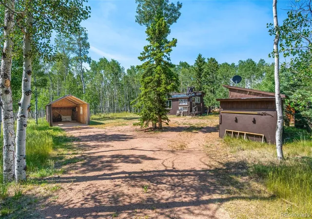 Homes for sale in Florissant, CO | 106 Forest Ct, Florissant, CO 80816 | MLS# 4916421
