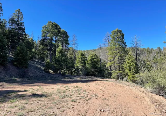 Homes for sale in Fort Garland, CO | 6168 Hoadley Rd, Fort Garland, CO 81133 | MLS# 1661864