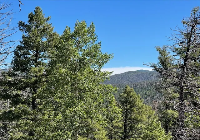 Homes for sale in Fort Garland, CO | 6168 Hoadley Rd, Fort Garland, CO 81133 | MLS# 1661864