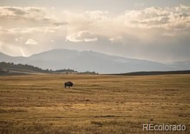 Homes for sale in Hartsel, CO | 33185 9, Hartsel, CO 80449 | MLS# 4952862