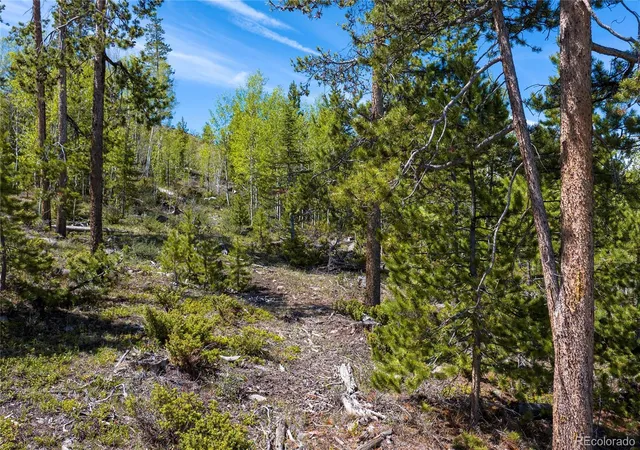 Homes for sale in Granby, CO | 330 Cirrus Wy, Granby, CO 80446 | MLS# 9410502