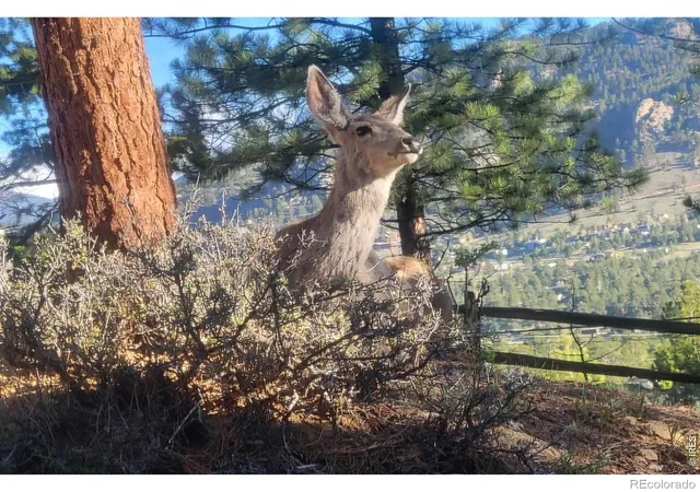 2nd image of 2709 Sunrise Ct, Estes Park, CO 80517 | MLS# IR1062723