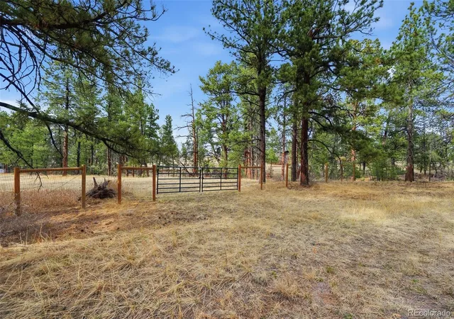 Homes for sale in Franktown, CO | E Park Dr, Franktown, CO 80116 | MLS# 8658241