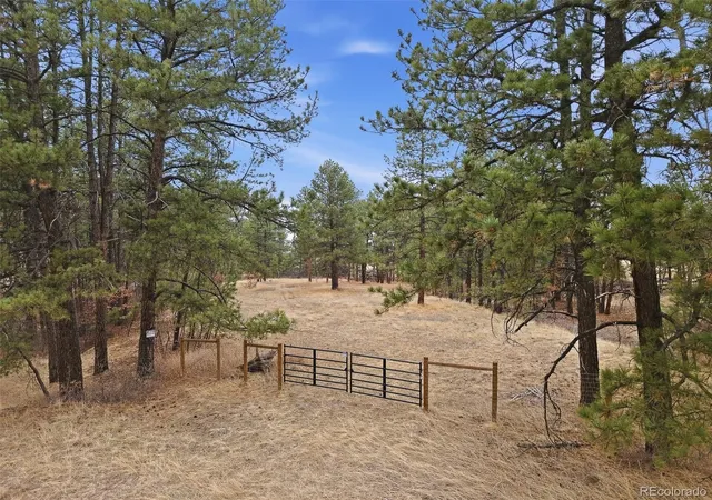 Homes for sale in Franktown, CO | E Park Dr, Franktown, CO 80116 | MLS# 8658241