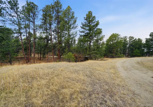 Homes for sale in Franktown, CO | E Park Dr, Franktown, CO 80116 | MLS# 8658241
