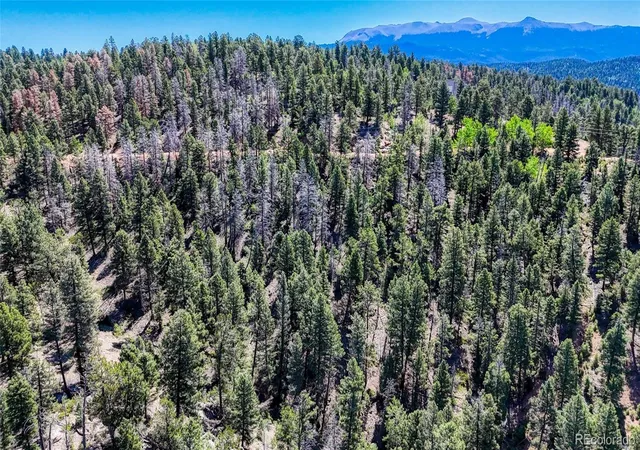 Homes for sale in Florissant, CO | 3454 N Mountain Estates Rd, Florissant, CO 80816 | MLS# 2543543