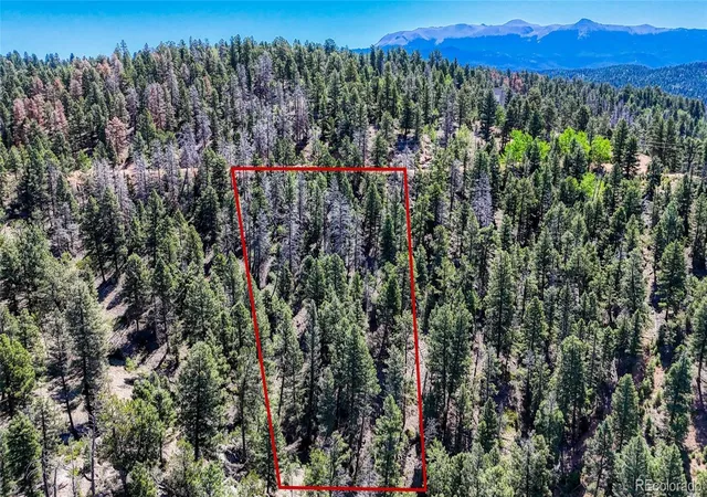 Homes for sale in Florissant, CO | 3454 N Mountain Estates Rd, Florissant, CO 80816 | MLS# 2543543