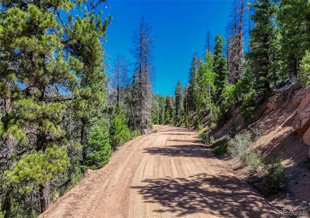 Homes for sale in Florissant, CO | 3454 N Mountain Estates Rd, Florissant, CO 80816 | MLS# 2543543