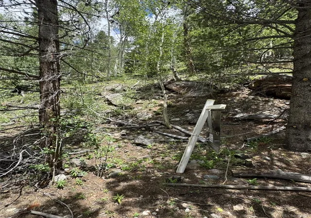 Homes for sale in Idaho Springs, CO | 0 Loch Lomond Rd, Idaho Springs, CO 80452 | MLS# 6480320
