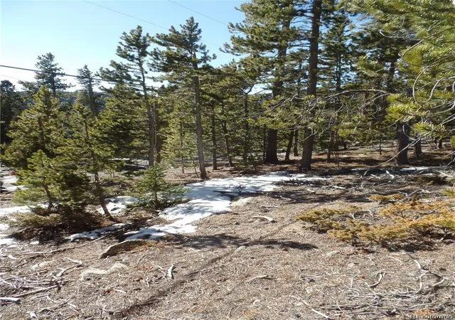 Homes for sale in Idaho Springs, CO | 0 Loch Lomond Rd, Idaho Springs, CO 80452 | MLS# 6480320