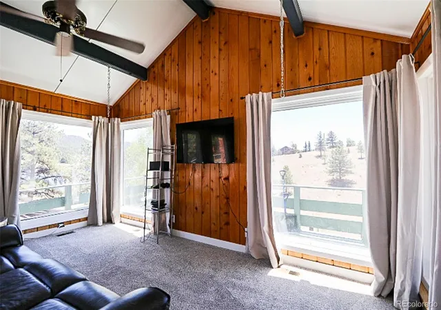 Homes for sale in Lake George, CO | 731 Midland Ct, Lake George, CO 80827 | MLS# 3775569