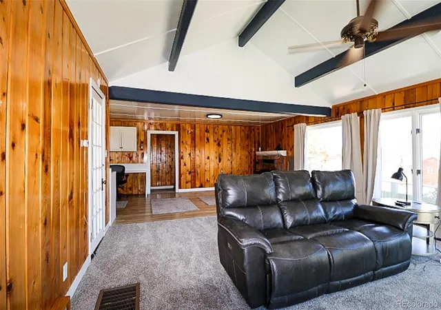 Homes for sale in Lake George, CO | 731 Midland Ct, Lake George, CO 80827 | MLS# 3775569