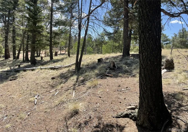 Homes for sale in Florissant, CO | 971 Spring Valley Ln, Florissant, CO 80816 | MLS# 7183723