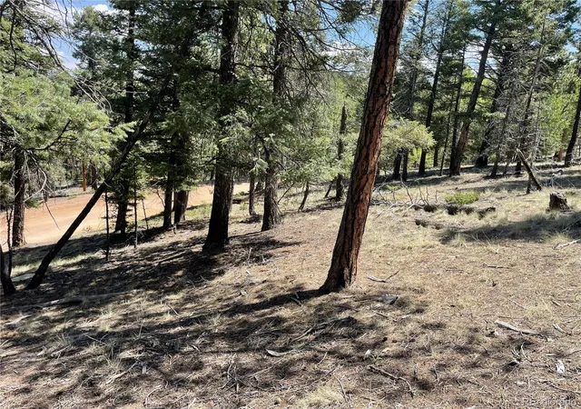 Homes for sale in Florissant, CO | 971 Spring Valley Ln, Florissant, CO 80816 | MLS# 7183723