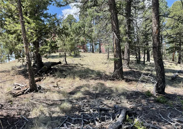 Homes for sale in Florissant, CO | 971 Spring Valley Ln, Florissant, CO 80816 | MLS# 7183723
