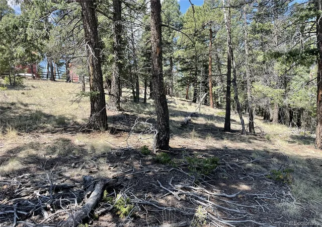 Homes for sale in Florissant, CO | 971 Spring Valley Ln, Florissant, CO 80816 | MLS# 7183723