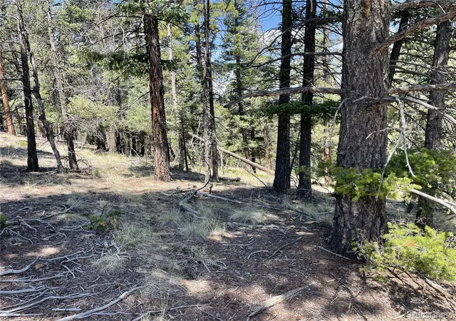 Homes for sale in Florissant, CO | 971 Spring Valley Ln, Florissant, CO 80816 | MLS# 7183723