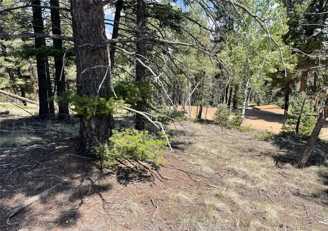 Homes for sale in Florissant, CO | 971 Spring Valley Ln, Florissant, CO 80816 | MLS# 7183723