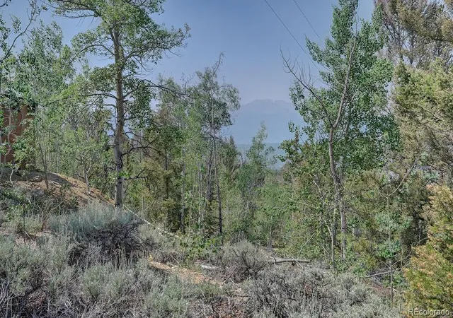Homes for sale in Granite, CO | 3029 Yankee Blade, Granite, CO 81228 | MLS# 8647160