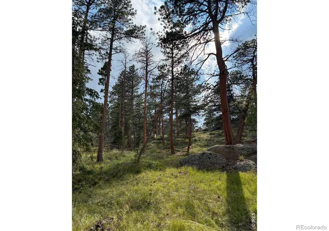 Homes for sale in Red Feather Lakes, CO | 79 Alpine Ln, Red Feather Lakes, CO 80545 | MLS# IR1062861