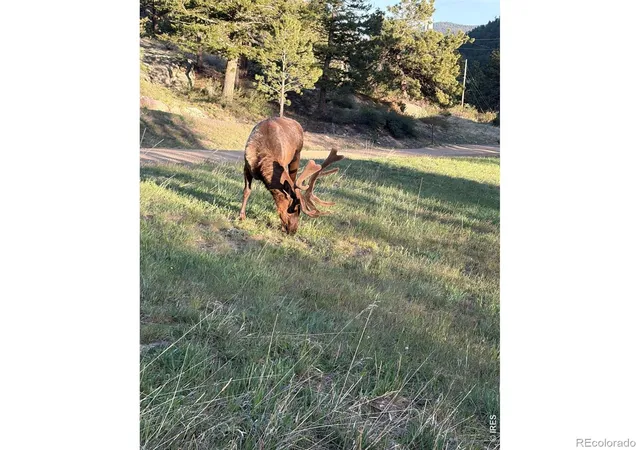 2nd image of 408 Meadowview Dr, Estes Park, CO 80517 | MLS# IR1062866