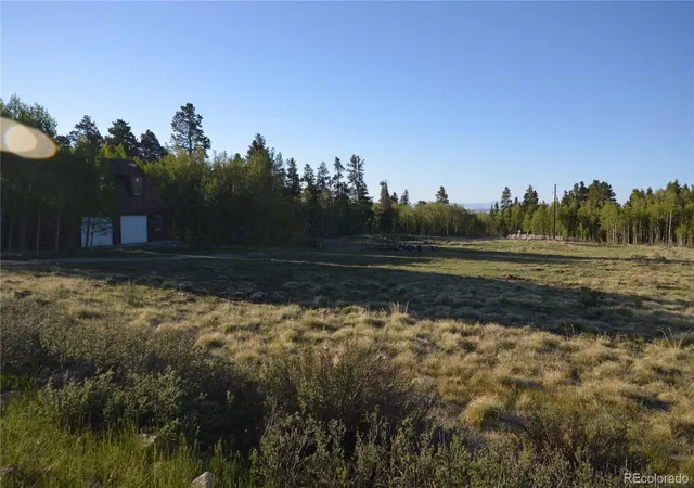 Homes for sale in Fairplay, CO | 484 Wheat Way Way, Fairplay, CO 80440 | MLS# 3145976