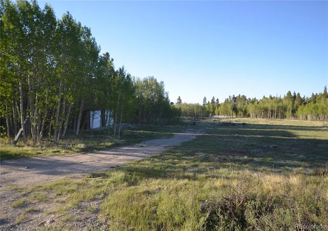 Homes for sale in Fairplay, CO | 484 Wheat Way Way, Fairplay, CO 80440 | MLS# 3145976
