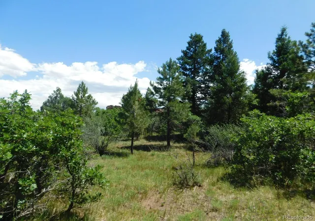 Homes for sale in Larkspur, CO | 6447 Thunderbird Rd, Larkspur, CO 80118 | MLS# 5852675