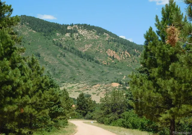 Homes for sale in Larkspur, CO | 6447 Thunderbird Rd, Larkspur, CO 80118 | MLS# 5852675