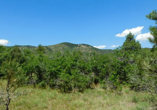 Homes for sale in Larkspur, CO | 6447 Thunderbird Rd, Larkspur, CO 80118 | MLS# 5852675