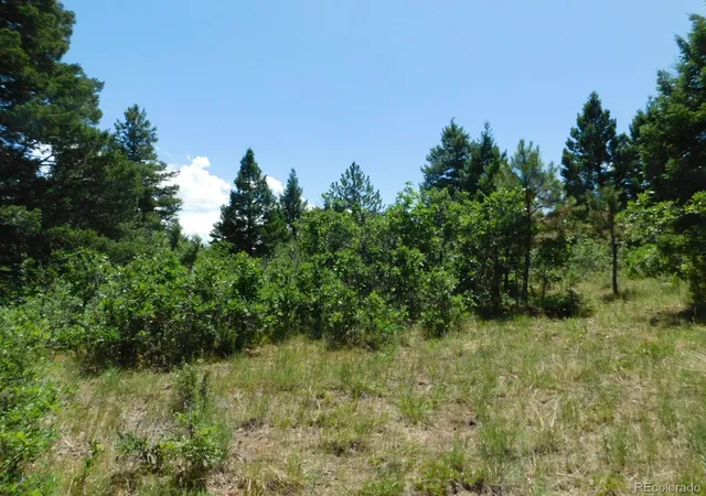 Homes for sale in Larkspur, CO | 6447 Thunderbird Rd, Larkspur, CO 80118 | MLS# 5852675